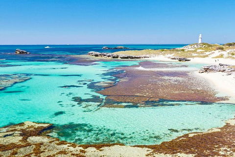 Rottnest Island Bayseeker Day Trip From Perth - Darwin Holiday 4
