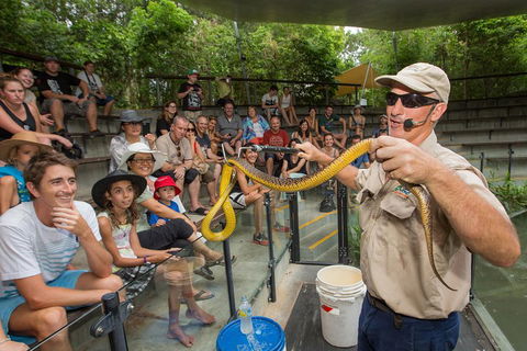 Breakfast With The Koalas At Hartley's Crocodile Park From Cairns Or Palm Cove - Darwin Holiday 2