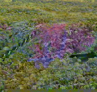 Litchfield Park  Daly River - Scenic Flight From Darwin - Darwin Holiday