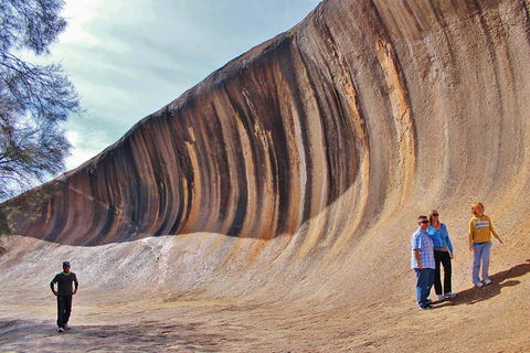 Wave Rock & Rottnest Island - Air & Ground Tour - Darwin Holiday 2