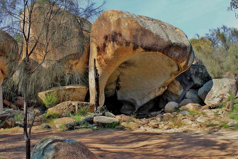 Wave Rock & Rottnest Island - Air & Ground Tour - Darwin Holiday 4