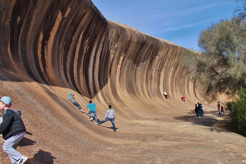 Wave Rock Half Day Air & Ground Tour - Darwin Holiday 2