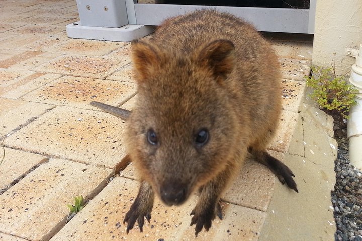 Perth Gpo WA Darwin Holiday