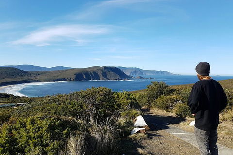 4-Day Fabulous Tasmania Tour: Wineglass Bay, Port Arthur, Devils & Bruny Island - Darwin Holiday 0