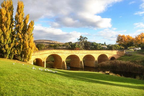 4-Day Fabulous Tasmania Tour: Wineglass Bay, Port Arthur, Devils & Bruny Island - Darwin Holiday 1