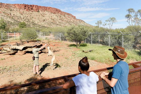 Alice Springs Desert Park General Entry Ticket - Darwin Holiday 4