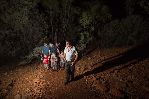 Alice Springs Desert Park Nocturnal Tour - Darwin Holiday 0