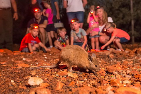 Alice Springs Desert Park Nocturnal Tour - Darwin Holiday 1