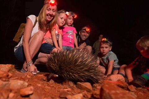 Alice Springs Desert Park Nocturnal Tour - Darwin Holiday 5