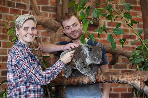 Private Tour: Blue Mountains Day Trip From Sydney - Darwin Holiday 0