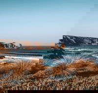 Small Group - Phillip Island Hike  Penguin Parade Day Tour from Melbourne - Darwin Holiday