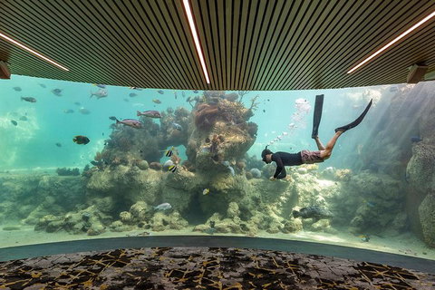 Whitehaven Beach And Daydream Island Cruise - Darwin Holiday 4