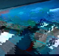 Great Barrier Reef Day Cruise to Reefworld