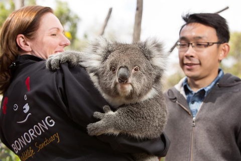 Bonorong Wildlife Park And Richmond Afternoon Tour From Hobart - Darwin Holiday 0