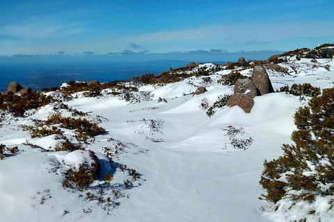 Mount Wellington Ultimate Experience Tour From Hobart - Darwin Holiday 1