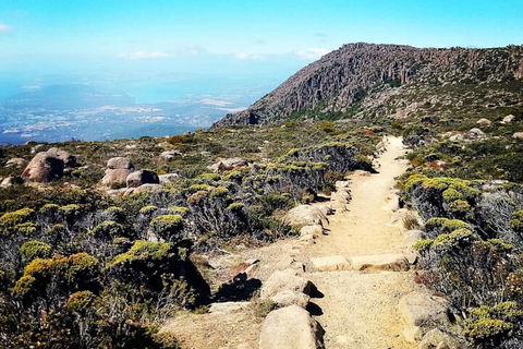 Mount Wellington Ultimate Experience Tour From Hobart - Darwin Holiday 5