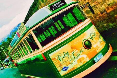 Hobart Half-Day Sightseeing Coach Tram Tour - Darwin Holiday 5