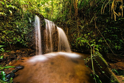 Paronella Park Admission Ticket - Darwin Holiday 5