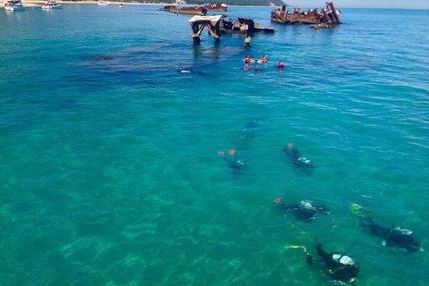 Adventure Moreton Island Scuba Dive Tour - Darwin Holiday 0