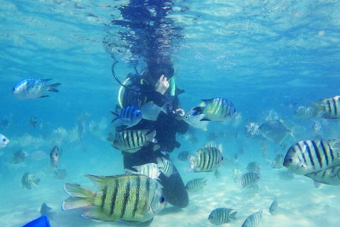 Adventure Moreton Island Scuba Dive Tour - Darwin Holiday 1