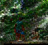 Full Day Daintree Rainforest and Mossman Gorge Tour - Darwin Holiday