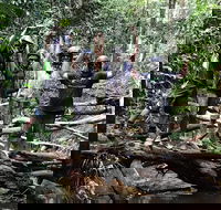 Cairns ATV Adventure Tour and Morning Skyrail - Darwin Holiday