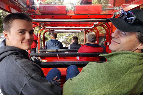 Fully Inclusive Blue Mountains Private Tour Inc Scenic World & Featherdale Entry - Darwin Holiday 1