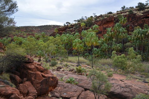 Palm Valley And Hermannsburg 1 Day 4WD Tour - Darwin Holiday 4