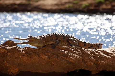 Windjana Explorer - Darwin Holiday 5