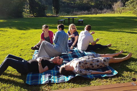Mt Tamborine - Hinterland Wonders Self Guided - Darwin Holiday 2