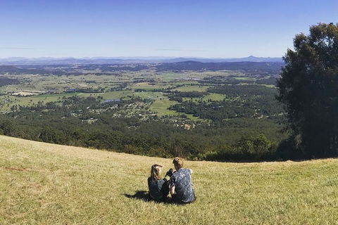 Mt Tamborine - Hinterland Wonders Self Guided - Darwin Holiday 4