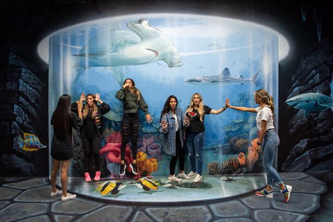 ArtVo Immersive Gallery Experience - Darwin Holiday 2