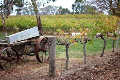 Maggie Beer Farm - Barossa Valley Regional Tour - Darwin Holiday 1