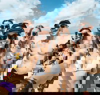 Whitsunday Islands Sailing Adventure