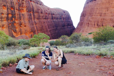 Afternoon Kata Tjuta Small Group Tour - Darwin Holiday 2