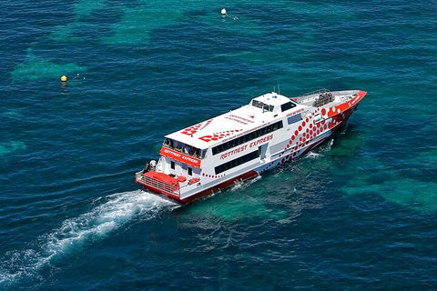 Discover Rottnest With Ferry & Bus Tour From Perth Or Fremantle - Darwin Holiday 3