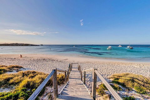 Discover Rottnest With Ferry & Bus Tour From Perth Or Fremantle - Darwin Holiday 4
