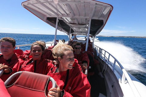 Adventure Rottnest Tour With Ferry & Adventure Cruise From Perth Or Fremantle - Darwin Holiday 0