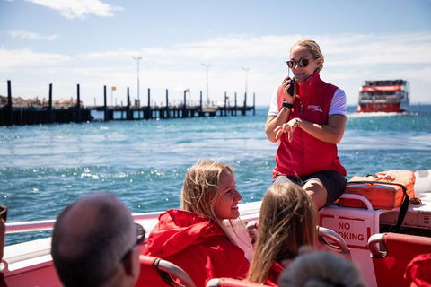 Adventure Rottnest Tour With Ferry & Adventure Cruise From Perth Or Fremantle - Darwin Holiday 4