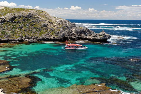 Adventure Rottnest Tour With Ferry & Adventure Cruise From Perth Or Fremantle - Darwin Holiday 5