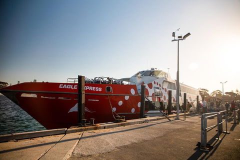 Rottnest Island Round-Trip Ferry From Perth Or Fremantle - Darwin Holiday 2