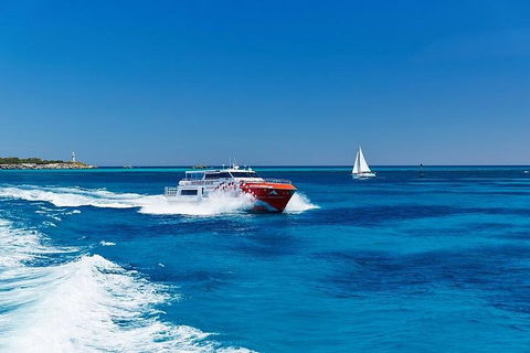 Rottnest Island Round-Trip Ferry From Perth Or Fremantle - Darwin Holiday 4