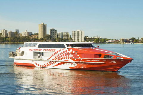 Rottnest Island Round-Trip Ferry From Perth Or Fremantle - Darwin Holiday 5