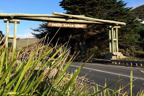 2-Day Great Ocean Road, Mornington Peninsula And Phillip Island Tour - Darwin Holiday 4