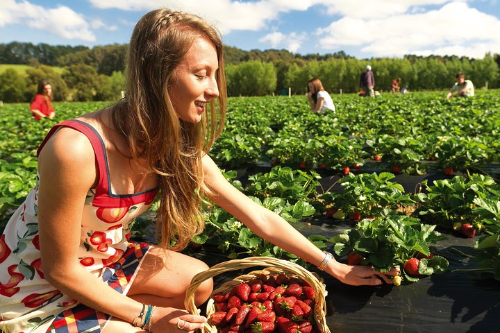 Melbourne VIC Darwin Holiday