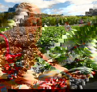 Mornington Peninsula Day Trip from Melbourne - Darwin Holiday