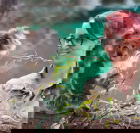 Small-Group Phillip Island Penguin Parade Day Tour from Melbourne - Darwin Holiday