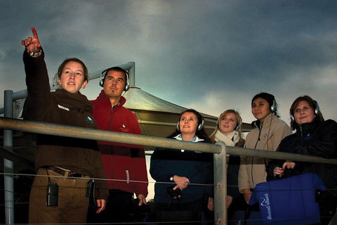 Phillip Island Penguin Parade Express Tour From Melbourne - Darwin Holiday 1