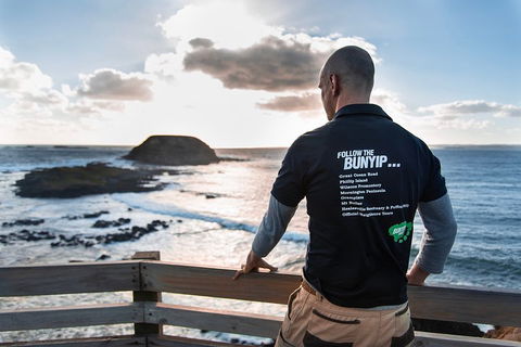 Phillip Island Penguin Parade Express Tour From Melbourne - Darwin Holiday 2