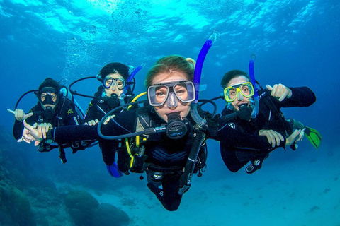 Great Barrier Reef Diving And Snorkeling Cruise From Cairns - Darwin Holiday 0